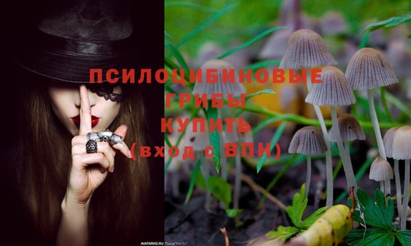 амф Михайлов